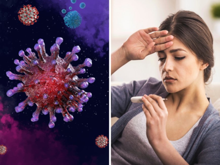 H3N2 Virus: డేంజర్ బెల్స్.. తెలుగు రాష్ట్రాల్లో వ్యాపిస్తున్న వైరస్